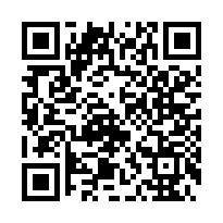 夜景燈火輝煌3分4-QR CODE