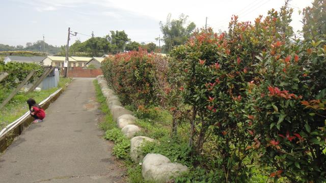 東勢農地-0