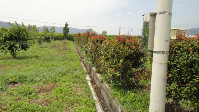 東勢農地-2