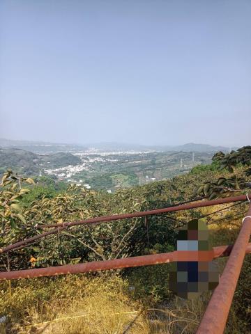 東勢山坡地-2