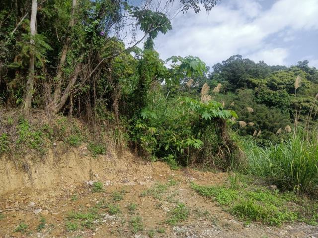 東勢山坡地-3