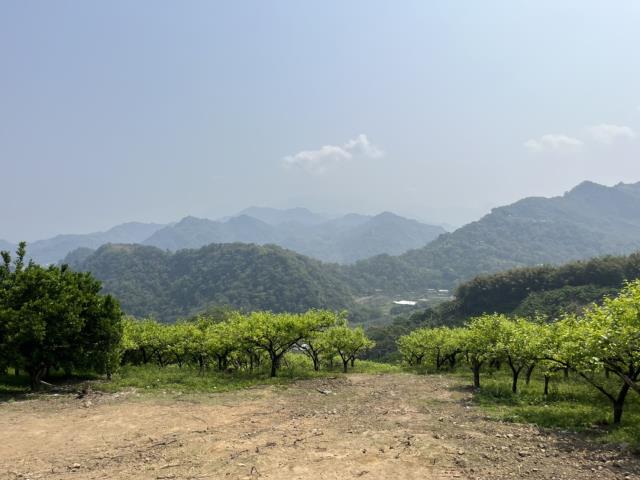 台中山坡地-2