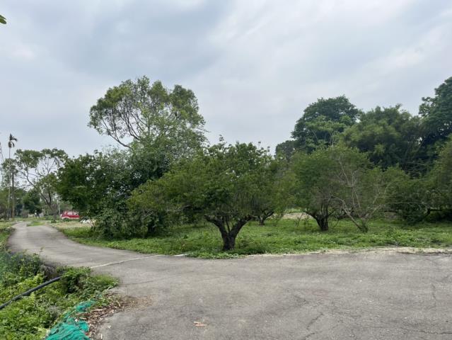 台中農地-1
