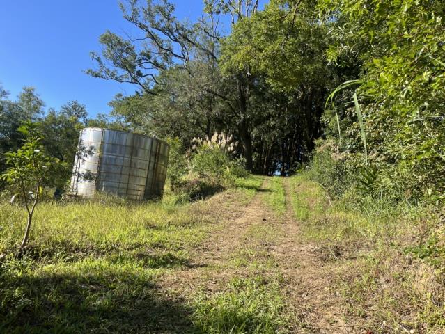 台中東勢山坡地-1