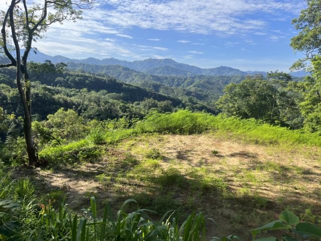 東勢山坡地-1