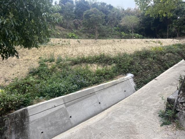 東勢山坡地-4